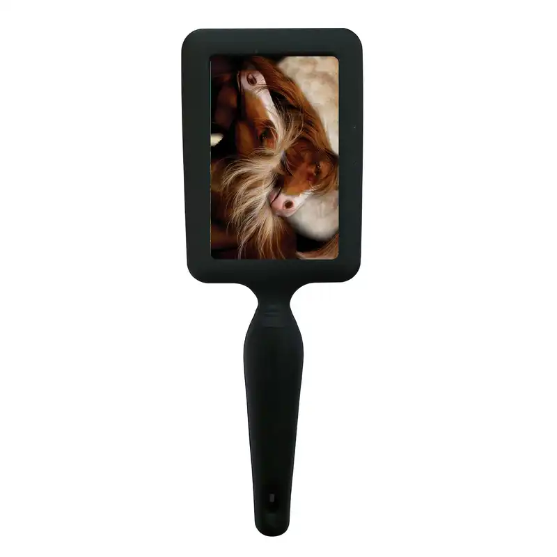 برس مو طرح نقاشی اسب مدل B1093