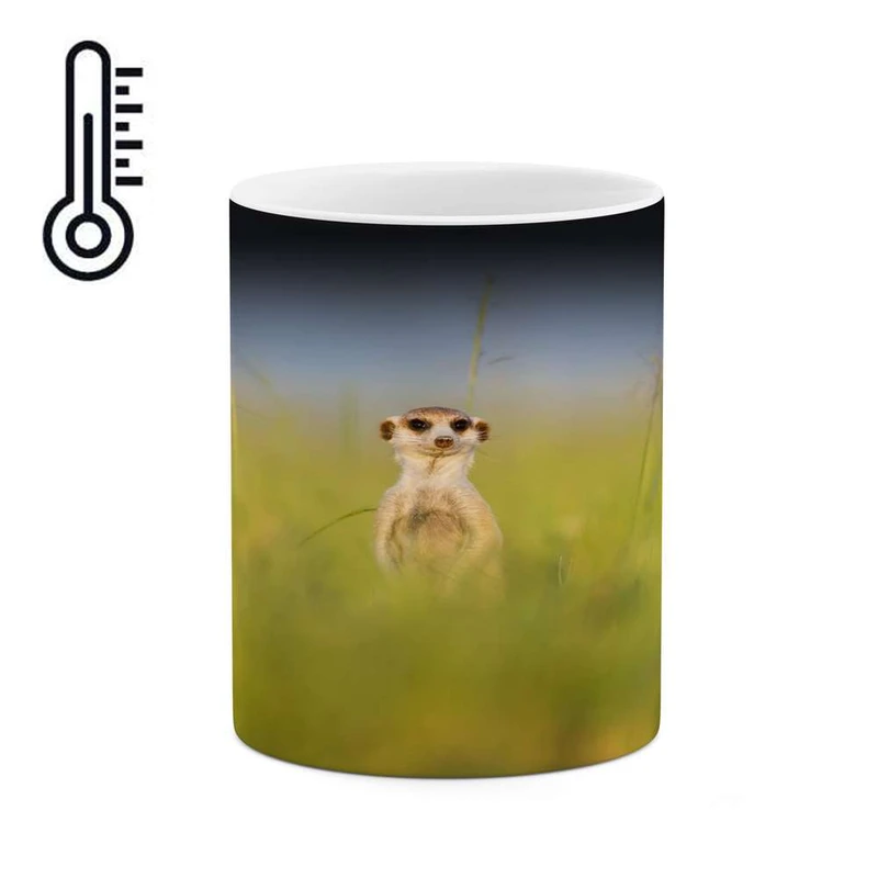 ماگ حرارتی کاکتی مدل سمور کد mgh17217