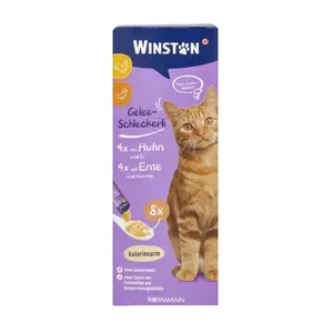 تشویقی گربه وینستون مدل بستنی مرغ و اردک وزن 120 گرم