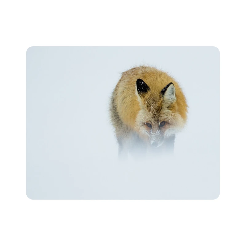 ماوس پد اطلس آبی طرح روباه و برف مدل T1578