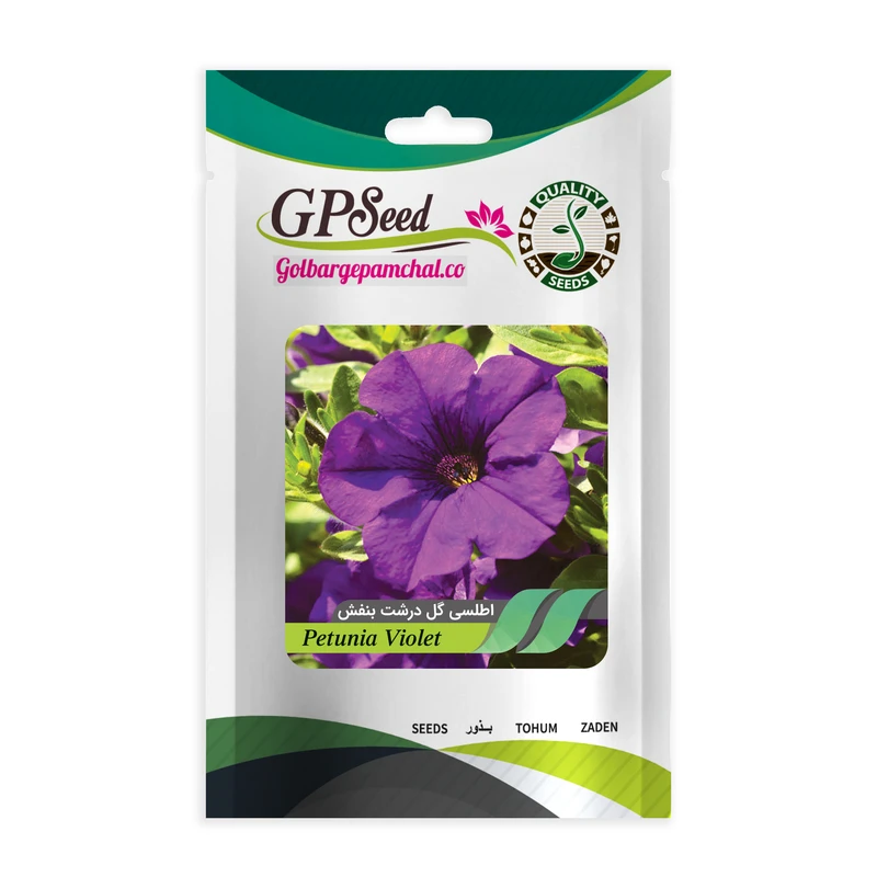 بذر گل اطلسی گل درشت بنفش جی پی سید مدل GP4628
