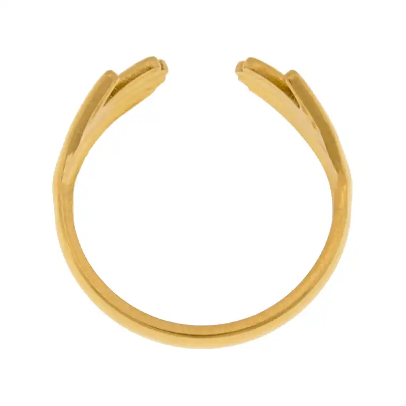 انگشتر زنانه برانت طرح آغوش دوستی