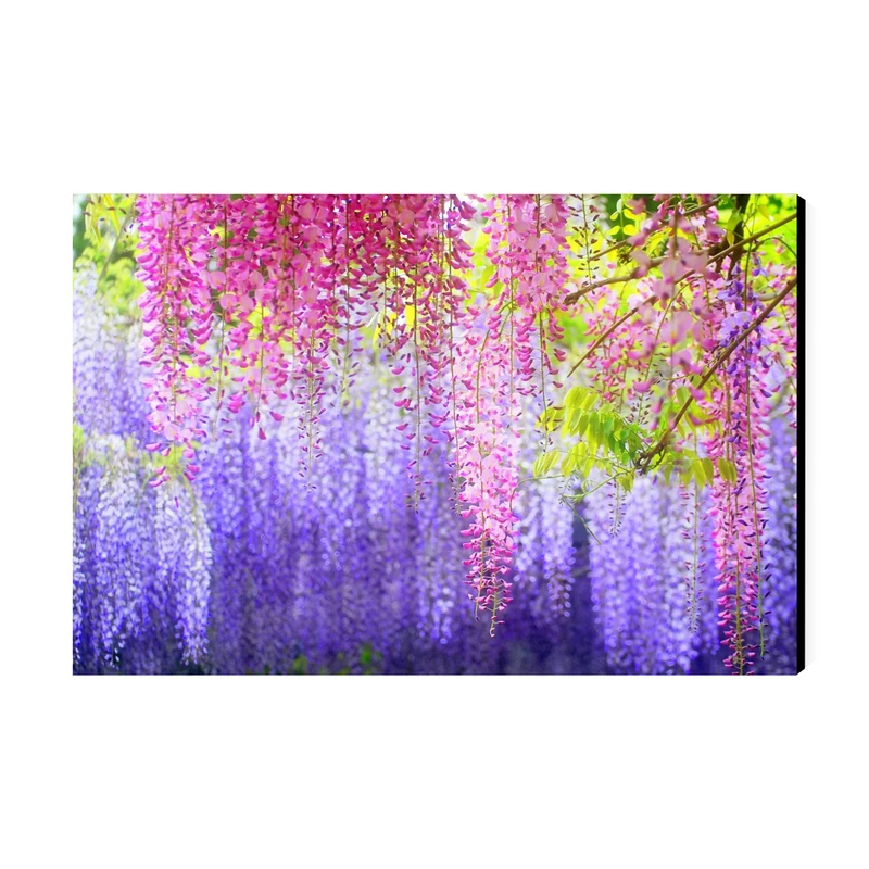 تابلو شاسی عرش طرح گردشگری ژاپن مدل باغ کاواچی ویستریا کد As6187