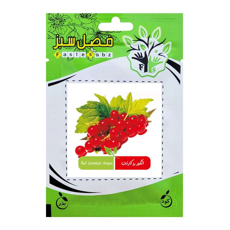 بذر انگور رد کارنت فصل سبز کد FSSEED-31