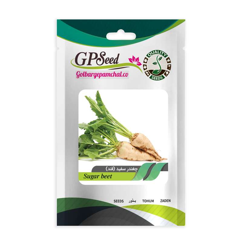 بذر چغندرسفید گلبرگ پامچال کد GPF-115