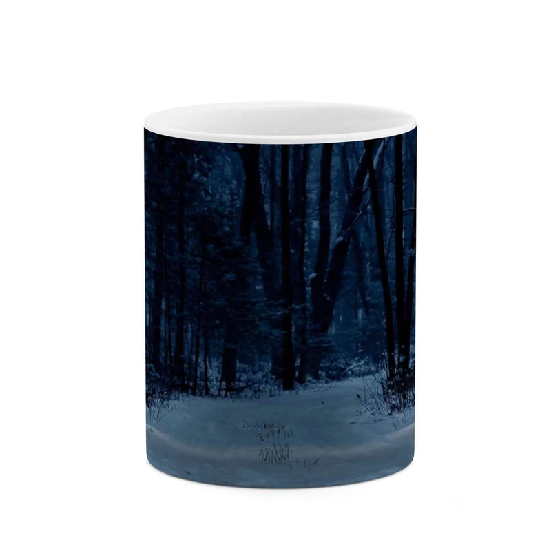 ماگ کاکتی مدل منظره برفی کد mgh15137