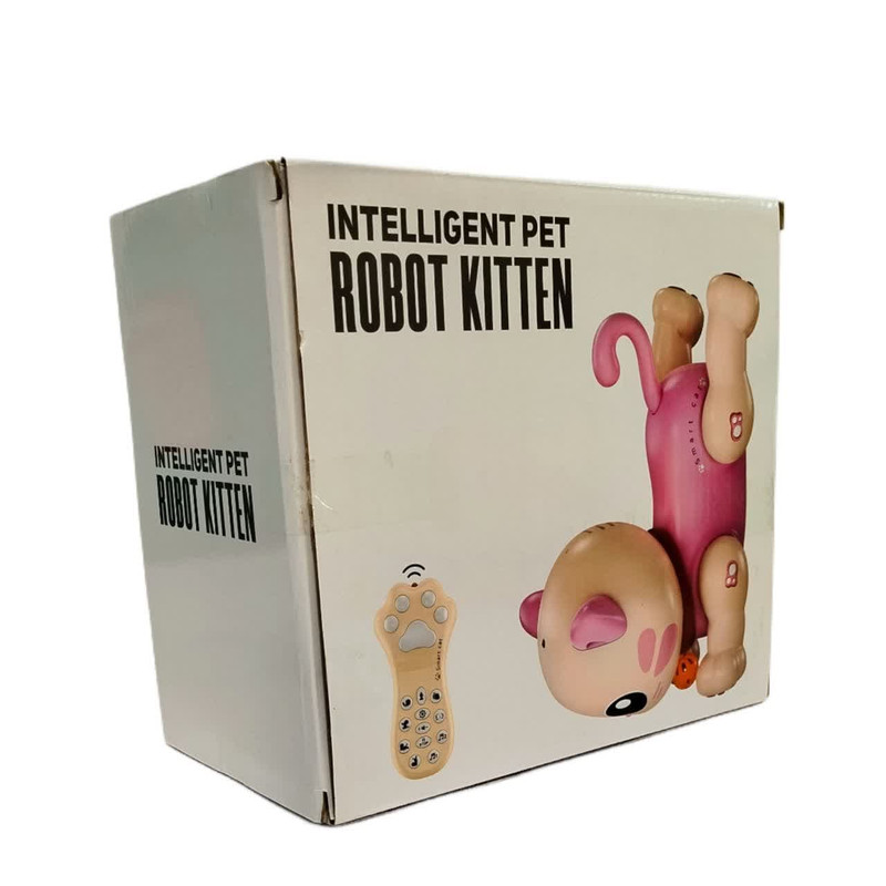 ربات کنترلی مدل گربه سنسوری کد 31K