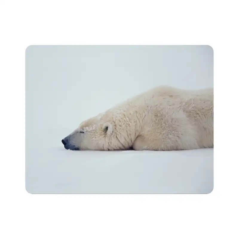 ماوس پد اطلس آبی طرح خرس خوابیده و برف  مدل T2043