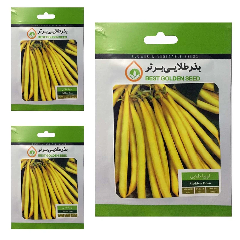 بذر لوبیا طلایی بذر طلایی برتر کد BTB-83 مجموعه 3 عددی