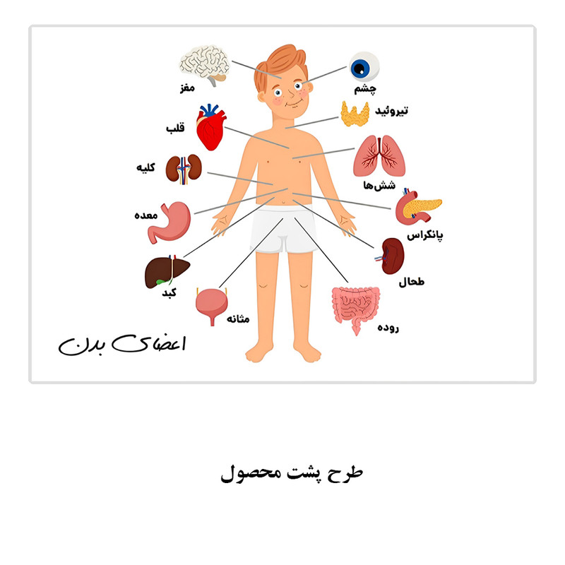 تخته وایت برد مدل سگهای نگهبان طرح آموزش اعضای بدن کد PAW Patrol سایز 20x30 سانتی متر به همراه مگنت مجموعه 2 عددی