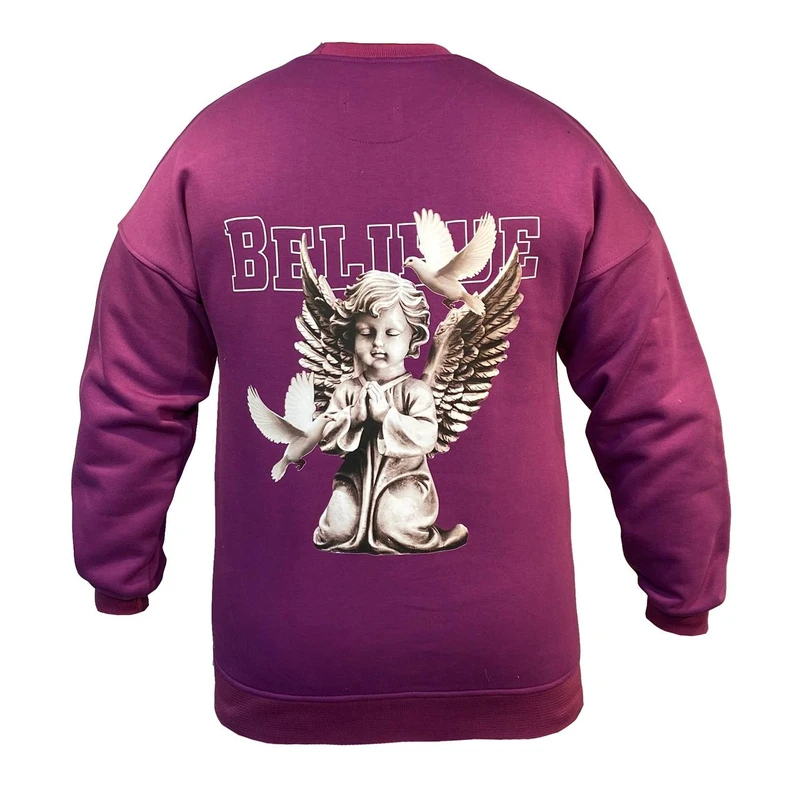 سویشرت مردانه مدل دورس کد b1