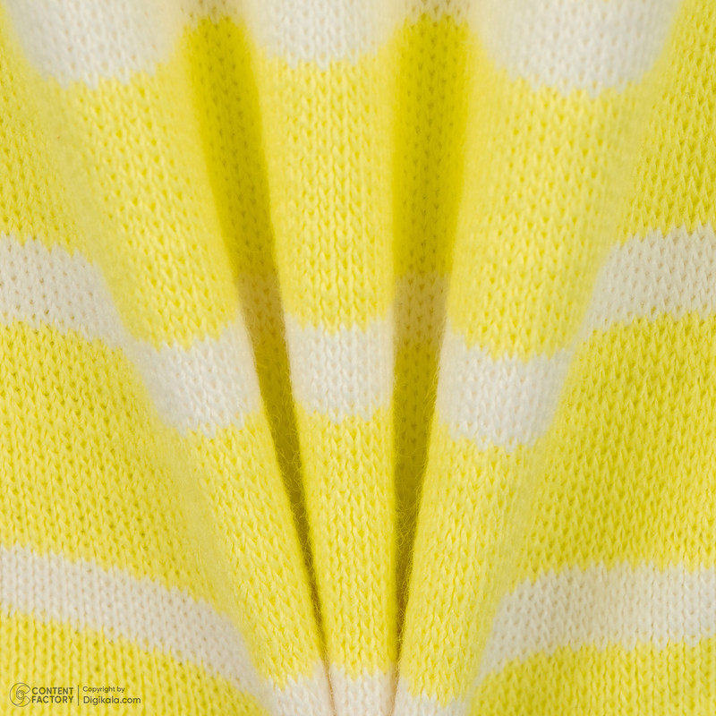 پلیور زنانه نیزل مدل 9540