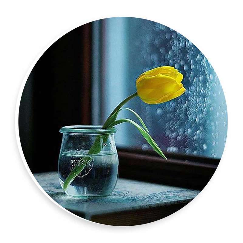 دیوارکوب طرح گل لاله و شیشه بارانی مدل wtb204