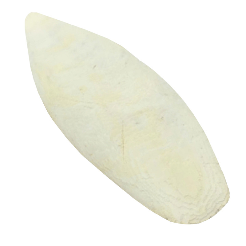کف دریا کد M071 وزن 70 گرم