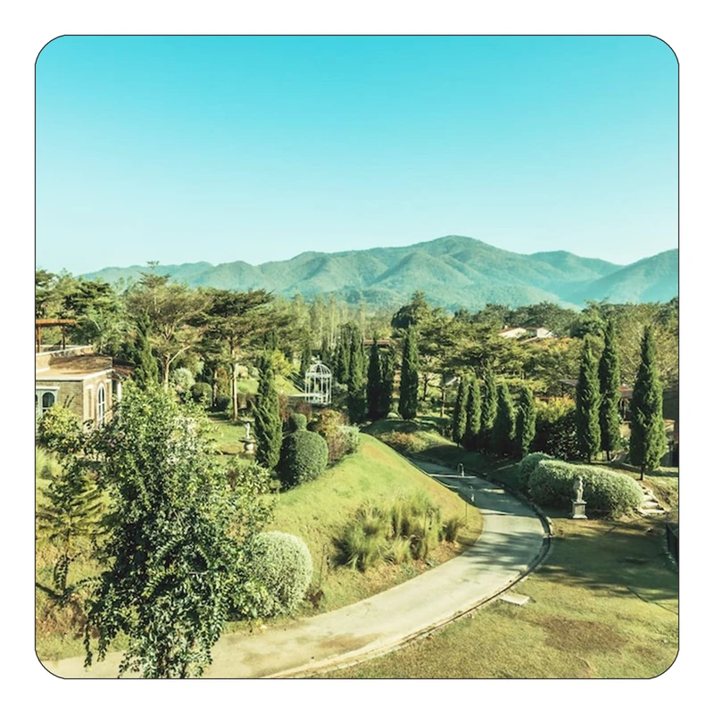 مگنت کاکتی طرح گل مدل mp16880