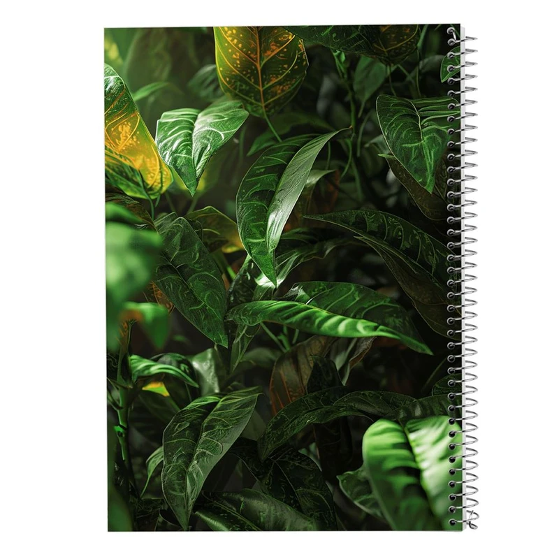 دفتر شطرنجی 50 برگ مدوپد طرح برگ کد DF15571