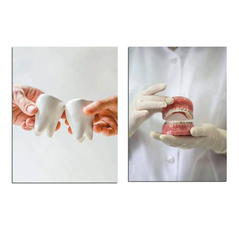 تابلو شاسی مدل دندان و دندانپزشکی کد 871 مجموعه دو عددی