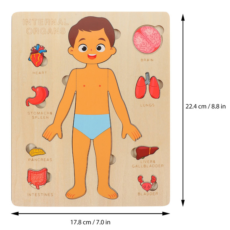 بازی آموزشی سمید مدل جورچین چوبی اعضای بدن انسان کد 1000