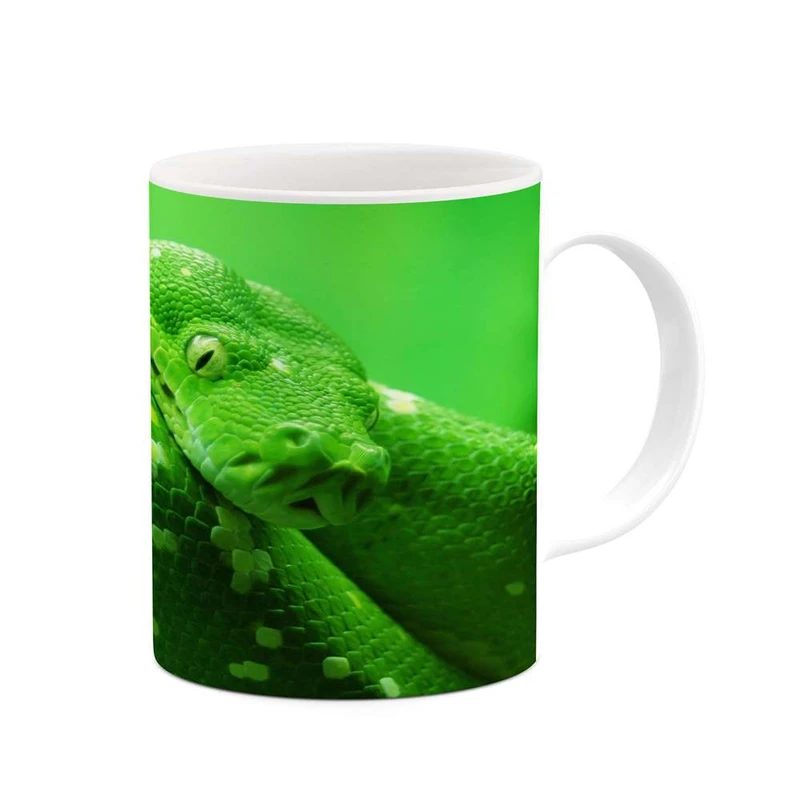 ماگ کاکتی مدل مار کد mgh19259