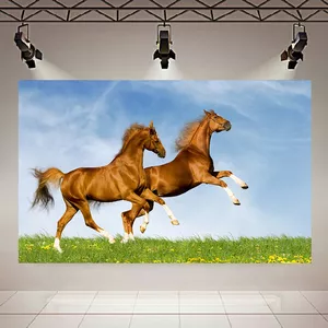 پوستر پارچه ای طرح دو اسب