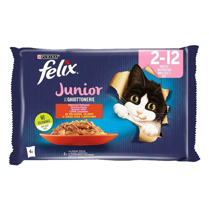 پوچ بچه گربه فلیکس مدل Kitten Beef & Chicken با طعم گوشت گاو و مرغ وزن 85 گرم بسته 4 عددی