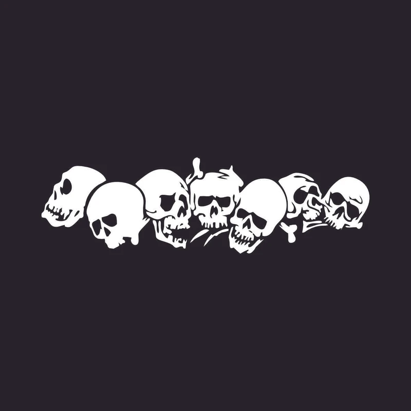 برچسب بدنه خودرو ونگارد طرح سر اسکلت ها کد M1