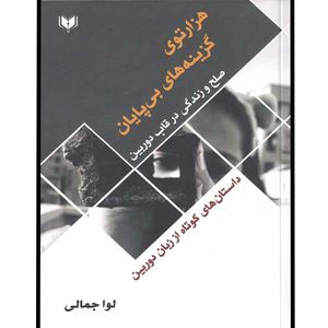 کتاب هزارتوی گزینه‌های بی‌پایان صلح و زندگی در قاب دوربین اثر لوا جمالی انتشارات آگرین کتاب