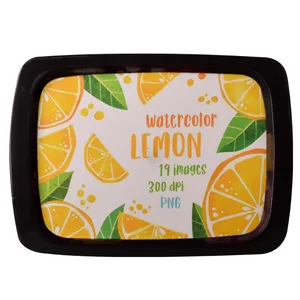 سینی مهروز مدل GH-2002-548 طرح لیمون