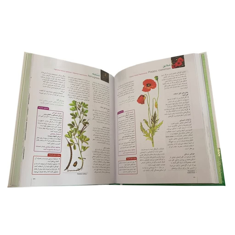 کتاب فرهنگ گیاهان دارویی اثر مائده سرلک و احمد اکبری نشر دانش پرور بصیر کتاب فرهنگ گیاهان دارویی اثر مائده سرلک و احمد اکبری نشر دانش پرور بصیر