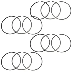 رینگ موتور ماهله مدل استاندارد کد A2202N0 مناسب برای رنو ال ۹٠ بسته 12 عددی