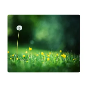 Elinor MPE251 Mousepad