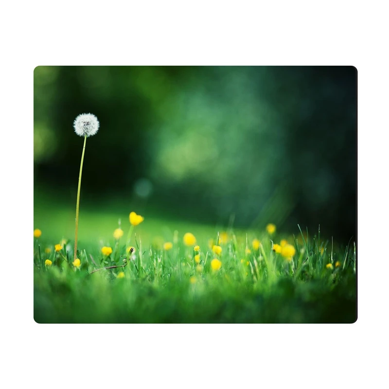 ماوس پد الینور مدل MPE251