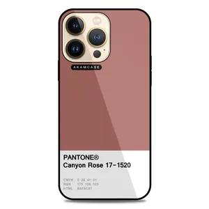 AKAM AMC-WA13PRO-PANTONE-17 Cover For Apple iPhone 13 Pro