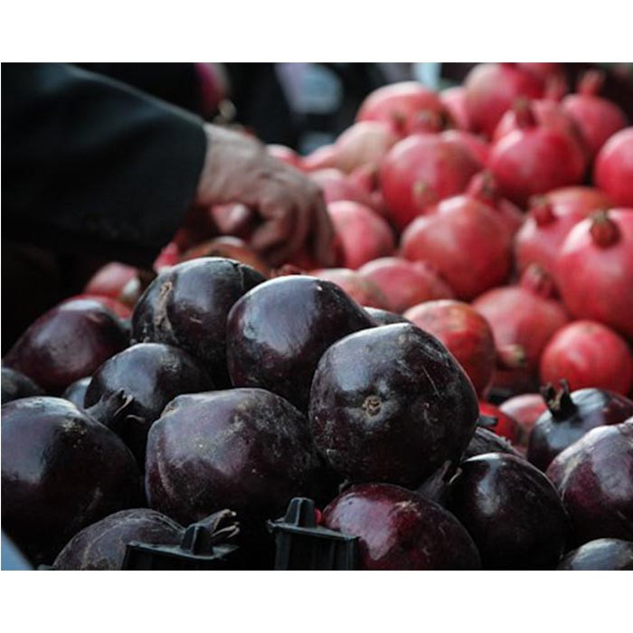 بذر انار سیاه پوست مشکی گلس گاردن مدل GL10