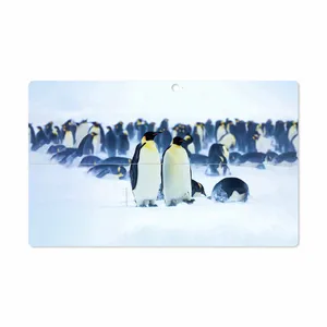 MAHOOT Penguin Cover Sticker for Microsoft Surface Pro 2 2013