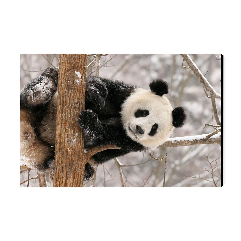 تابلو شاسی عرش مدل فانتزی پاندا کد As3083