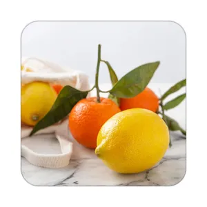 زیر لیوانی کاکتی طرح میوه مدل mp21517