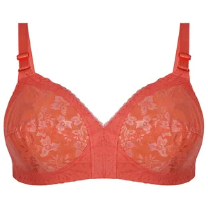 سوتین زنانه پرجامدا مدل 340019528 گیپور