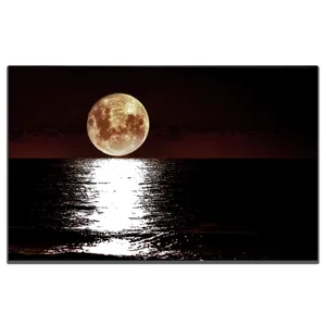 تابلو شاسی بکلیت طرح مهتاب و دریا مدل SH-S5254