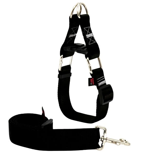 ست بند و قلاده گردنی سگ مدل چارلی Xlarge-Charli07