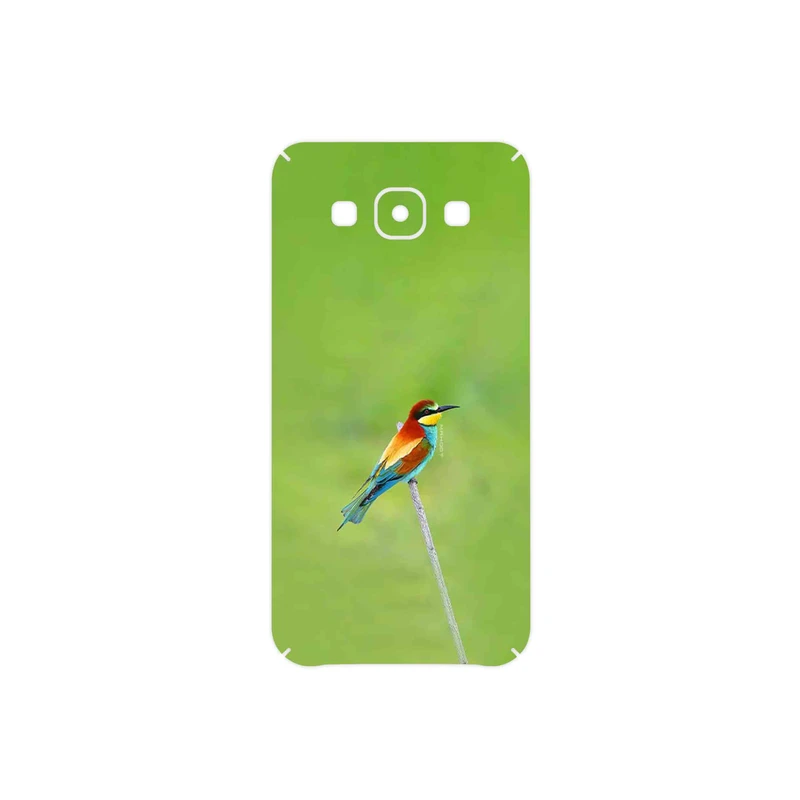 برچسب پوششی ماهوت مدل European bee-eater مناسب برای گوشی موبایل سامسونگ Galaxy E5
