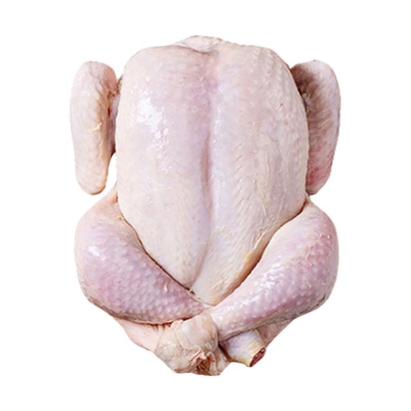 مرغ اکبر جوجه - 1 کیلوگرم