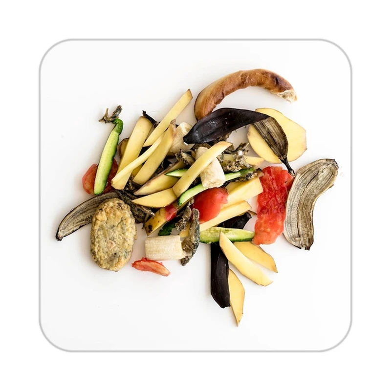 زیر لیوانی کاکتی طرح میوه مدل mp22544