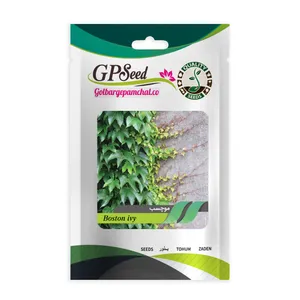 بذر گل موچسب گلبرگ پامچال کد GPF-341