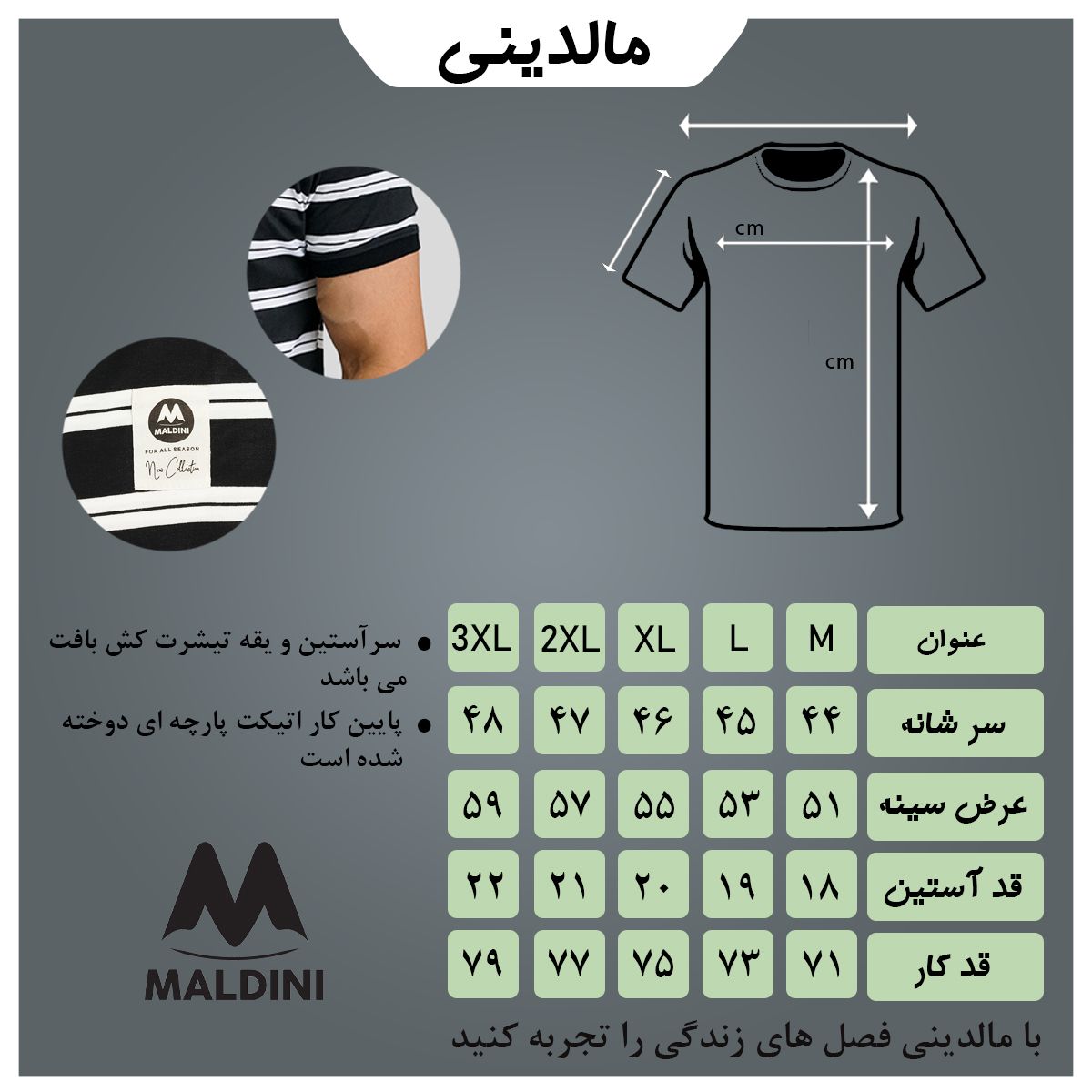 تی شرت آستین کوتاه مردانه مالدینی مدل t-436 -  - 5