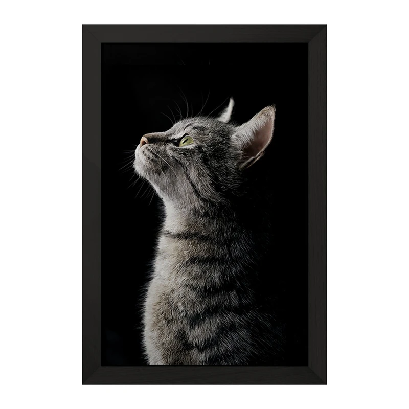 تابلو خندالو مدل گربه (Cat) کد F588