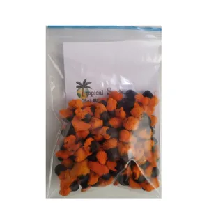  بذر پرنده بهشتی نیکولای تروپیکال سیدز کد 2100 بسته 100 عددی