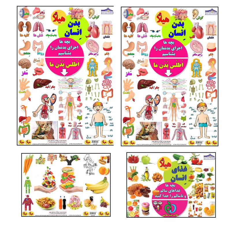 برچسب هیلا مدل آموزشی بدن انسان و غذای انسان بسته 4 عددی