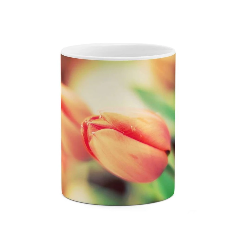 ماگ کاکتی مدل گل کد mgh12068