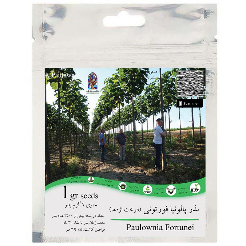 بذر درخت پالونیا فورتونی گلس گاردن مدل GL1gr